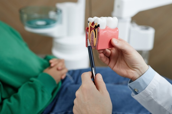 Close up of unrecognizable dentist pointing at tooth model in dental clinic